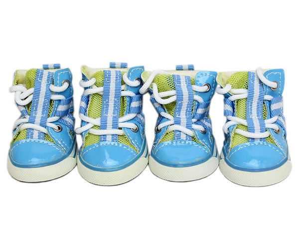 Converse dog store