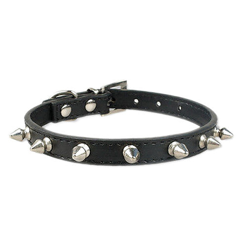 Spiked Dog Collar