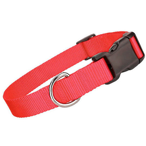 Nylon Collar - Red - Pupaholic.com