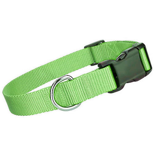 Nylon Collar - Green - Pupaholic.com