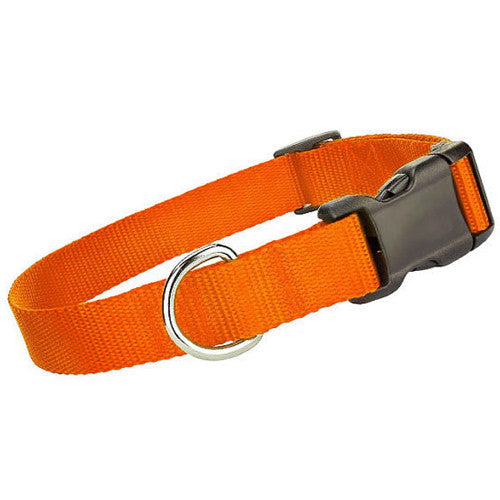Nylon Collar - Orange - Pupaholic.com