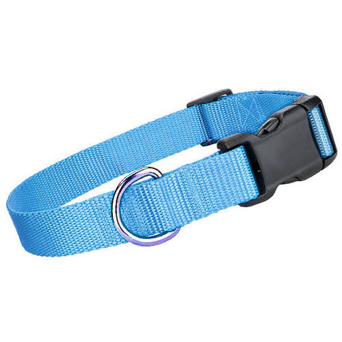 Nylon Collar - Light Blue - Pupaholic.com