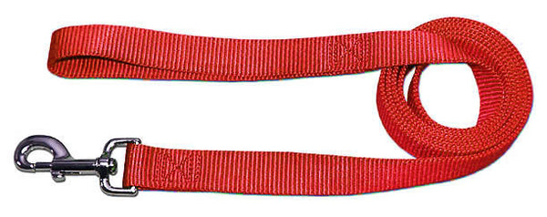 4' x 3/4" Nylon Lead - Red - Pupaholic.com