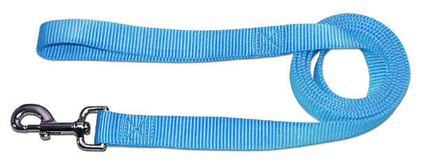 4' x 3/4" Nylon Lead - Light Blue