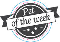 Pet of the Week Badge