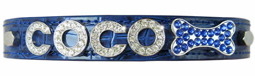 Personalized Dog Collar on Dog