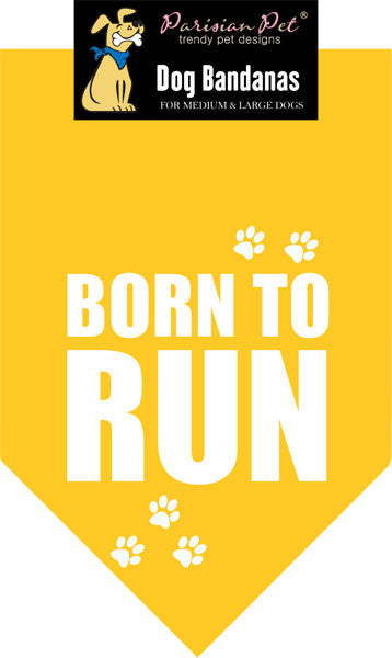 Born To Run - Pupaholic.com