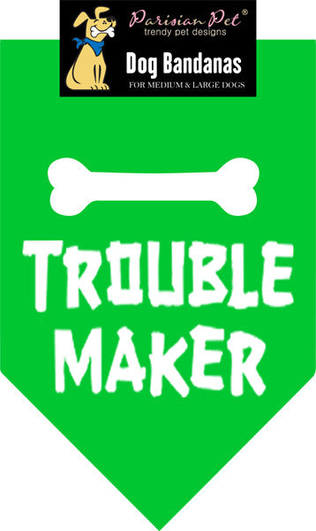 Trouble Maker