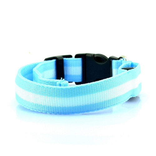 LED Collar - Blue