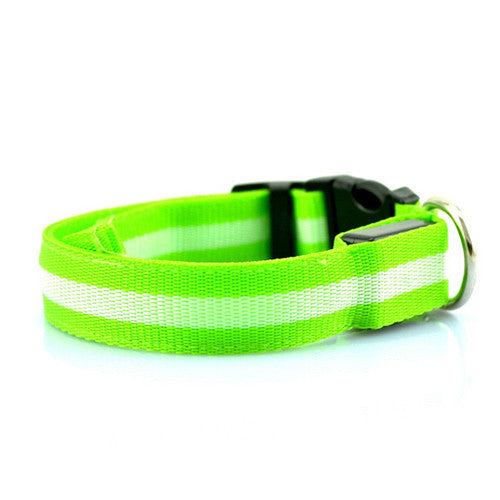 LED Collar - Green - Pupaholic.com