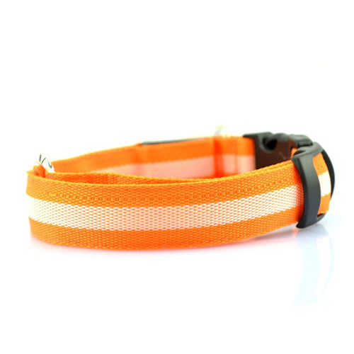 LED Collar - Orange - Pupaholic.com