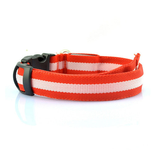 LED Collar - Red