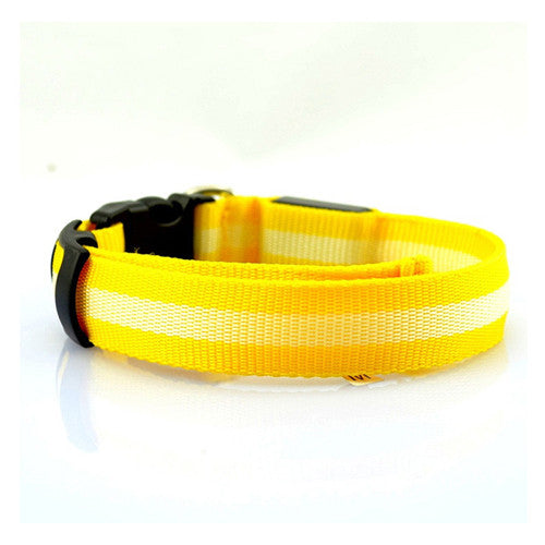 LED Collar - Yellow - Pupaholic.com