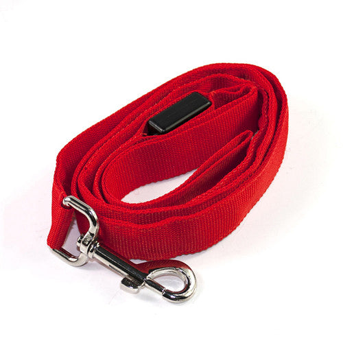 LED  Leashes - Red