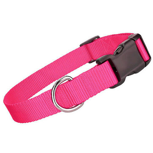 Nylon Collar - Pink - Pupaholic.com