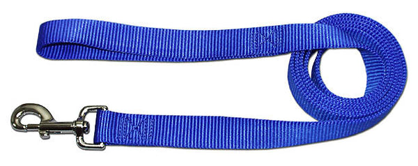 4' x 3/4" Nylon Lead - Neon Blue