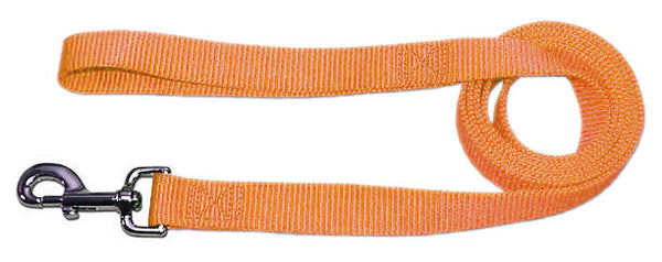 4' x 3/4" Nylon Lead - Peach - Pupaholic.com