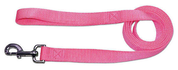 4' x 3/4" Nylon Lead - Rose - Pupaholic.com