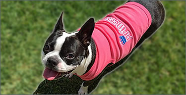 Cute Dog Clothes Puppy Outfits Dog Coats And Sweaters Pupaholic
