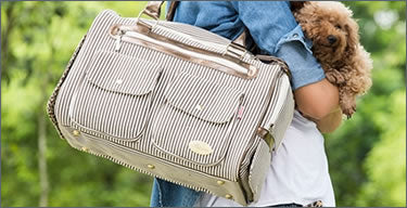 Pet Carriers Icon