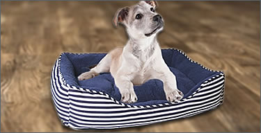 Pet beds and houses Icon